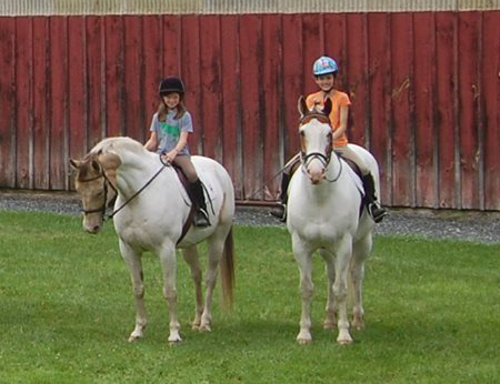 woodstock vermont horse stabling and boarding